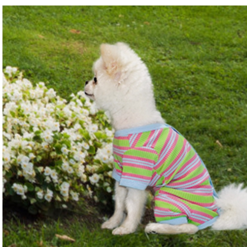 NWOT Size Large Cotton Pajamas for MALE Dog.